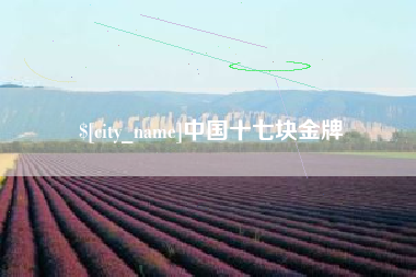 琼海中国十七块金牌