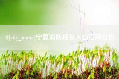 琼海宁夏消防报名入口官网公告