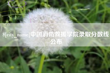 琼海中国消防救援学院录取分数线公布