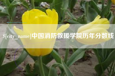 琼海中国消防救援学院历年分数线