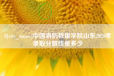 琼海中国消防救援学院山东2020年录取分数线是多少