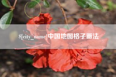 琼海中国地图格子画法