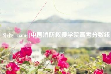 琼海中国消防救援学院高考分数线