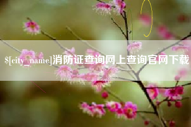 琼海消防证查询网上查询官网下载