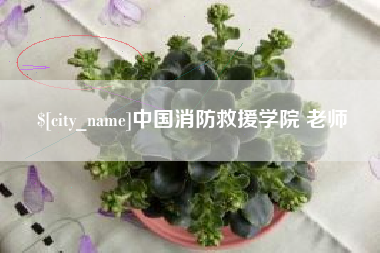 琼海中国消防救援学院 老师