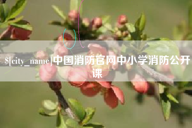 琼海中国消防官网中小学消防公开课