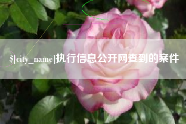 琼海执行信息公开网查到的案件