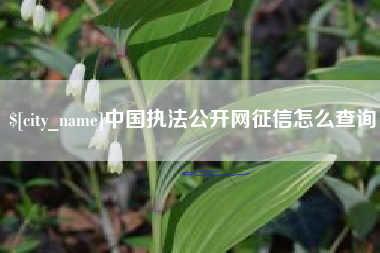琼海中国执法公开网征信怎么查询