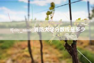 琼海消防大学分数线是多少