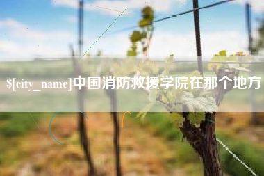 琼海中国消防救援学院在那个地方