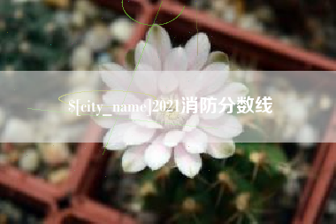 琼海2021消防分数线