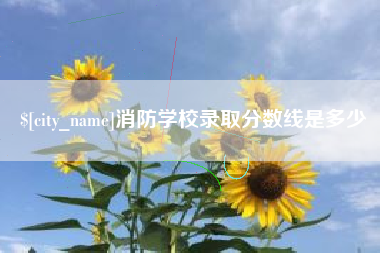 琼海消防学校录取分数线是多少