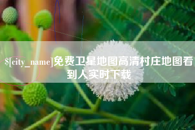 琼海免费卫星地图高清村庄地图看到人实时下载