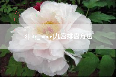 琼海九宫排盘方法