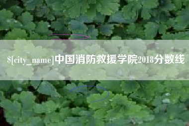 琼海中国消防救援学院2018分数线