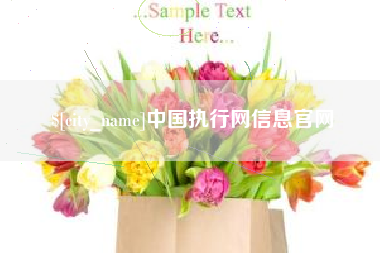 琼海中国执行网信息官网