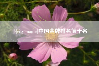 琼海中国金牌排名前十名