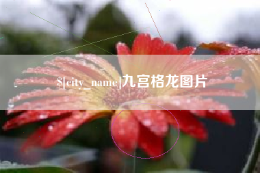 琼海九宫格龙图片