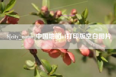 琼海中国地图a4打印版空白图片 琼海中国地图a4打印版空白图片