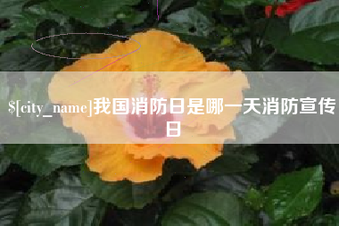 琼海我国消防日是哪一天消防宣传日