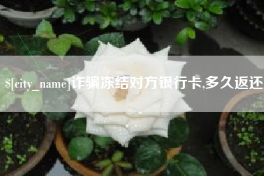 琼海诈骗冻结对方银行卡,多久返还