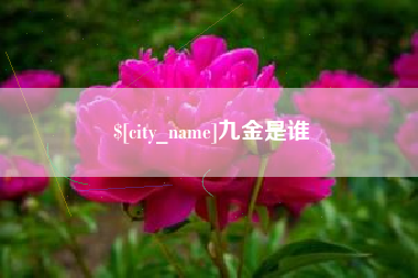 琼海九金是谁
