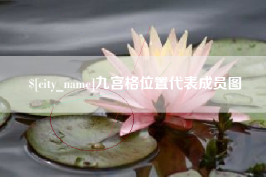 琼海九宫格位置代表成员图