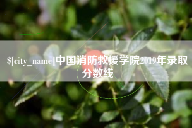 琼海中国消防救援学院2019年录取分数线