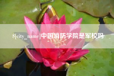 琼海中国消防学院是军校吗