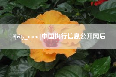 琼海中国执行信息公开网后