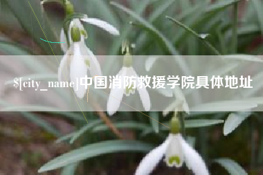 琼海中国消防救援学院具体地址