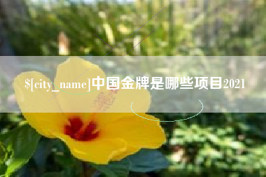 琼海中国金牌是哪些项目2021