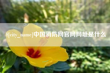 琼海中国消防网官网网址是什么