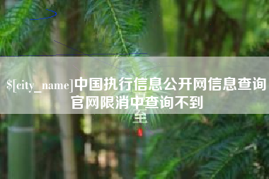 琼海中国执行信息公开网信息查询官网限消中查询不到