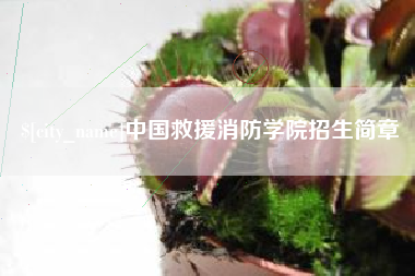 琼海中国救援消防学院招生简章