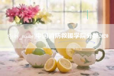 琼海中国消防救援学院分数2020