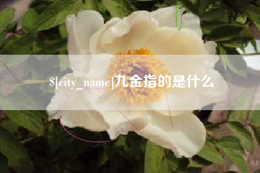 琼海九金指的是什么