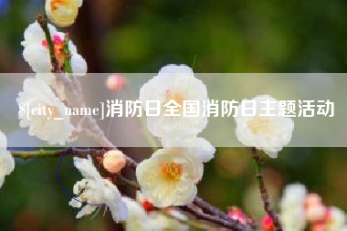 琼海消防日全国消防日主题活动