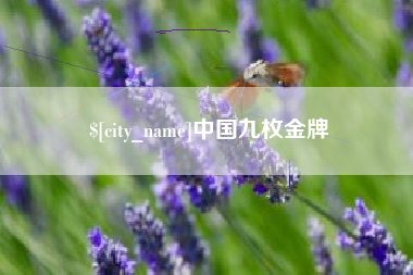 琼海中国九枚金牌