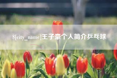 琼海王子豪个人简介乒乓球