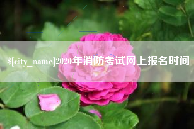 琼海2020年消防考试网上报名时间