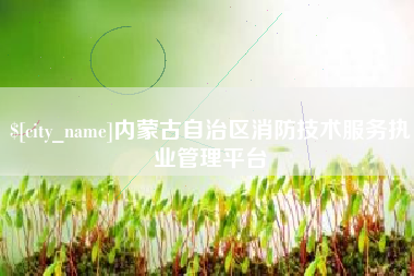 琼海内蒙古自治区消防技术服务执业管理平台