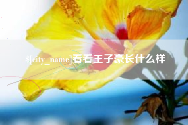 琼海看看王子豪长什么样