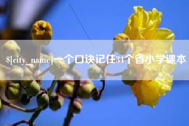 琼海一个口诀记住34个省小学课本