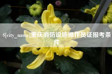 琼海重庆消防设施操作员证报考条件