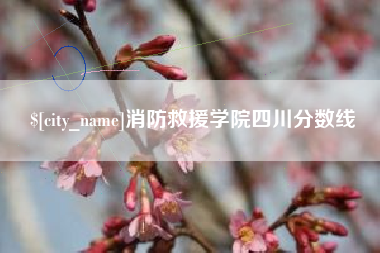琼海消防救援学院四川分数线