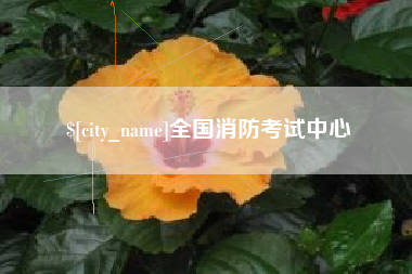 琼海全国消防考试中心