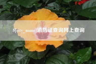琼海消防证查询网上查询