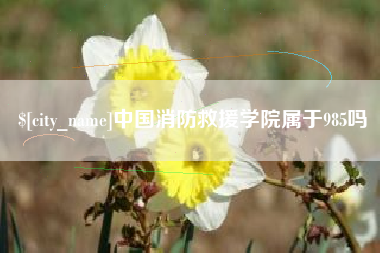 琼海中国消防救援学院属于985吗