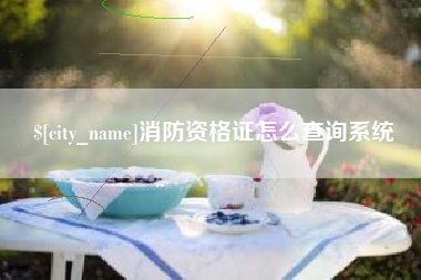 琼海消防资格证怎么查询系统